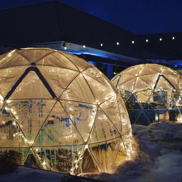 Garden Igloo Dome for Sale - Image 4